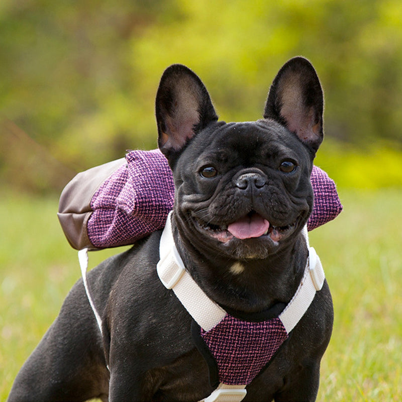 Hundegeschirr-Rucksack