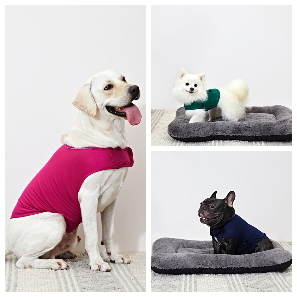 Calming Dog Compression Vest – Koa's Pet Shop